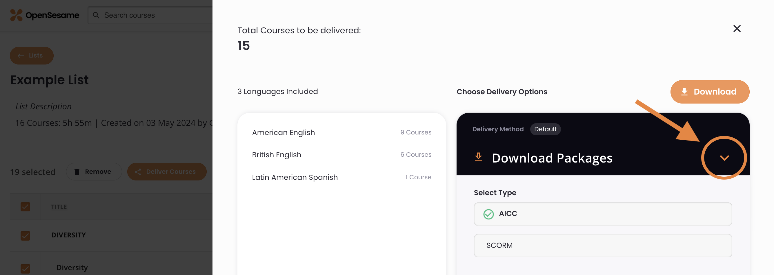 6 - The Choose Delivery Options window, indicating its menu icon.png