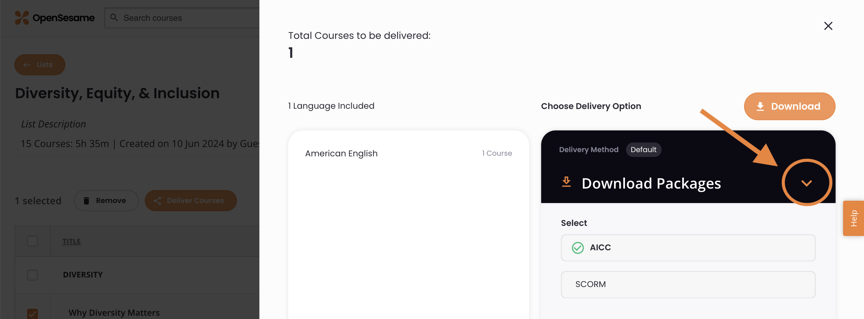 4 - The delivery option is set to Download Packages, and the arrow to expand the options menu is indicated.png