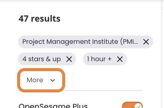 14 - The default display of active filters, indicating the More option.png