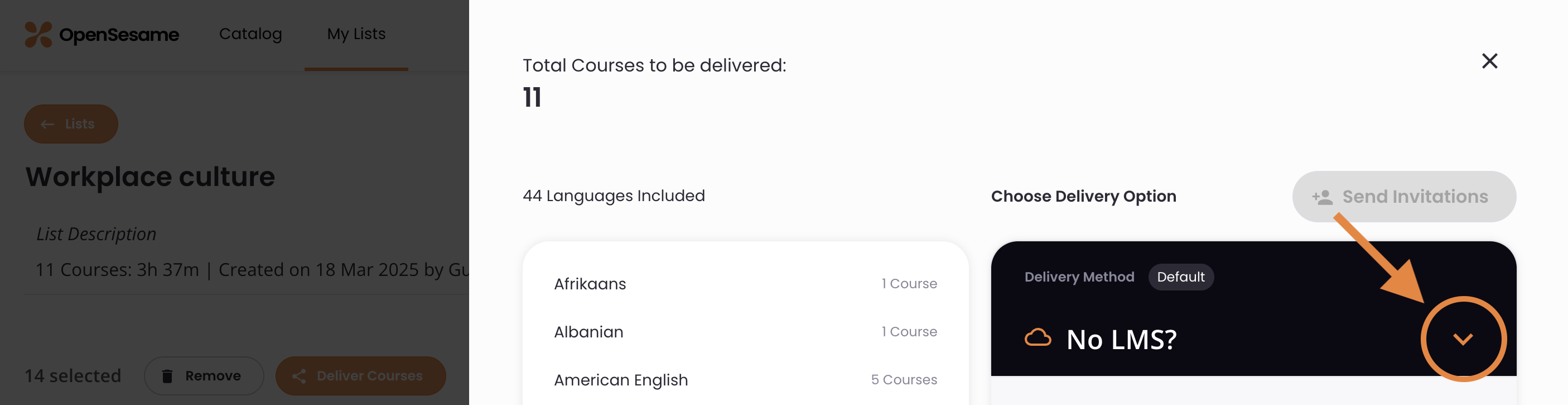 3 - The course delivery tools, indicating the arrow to open the menu of options.png