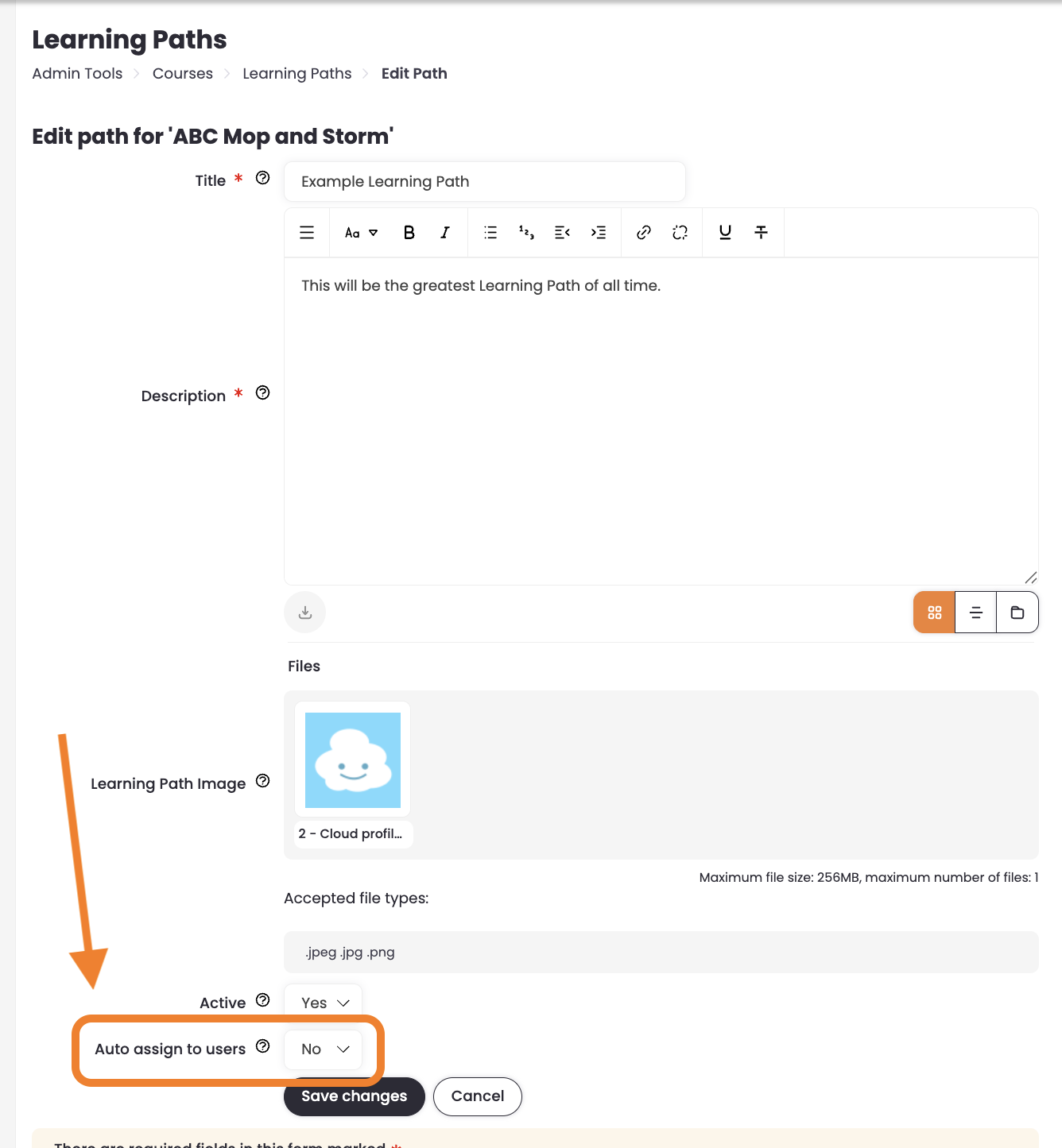 8 - An Edit Path page, indicating the Auto-assign setting.png