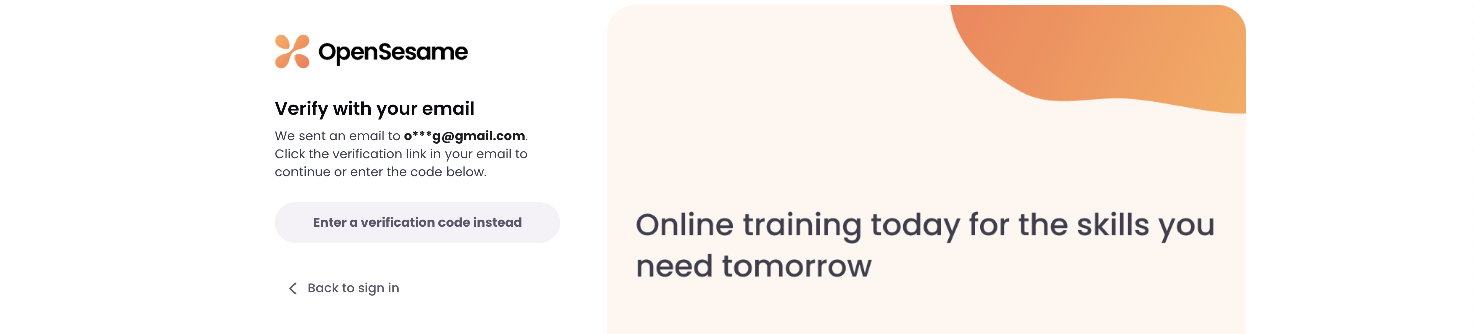 4 - The email verification step.png