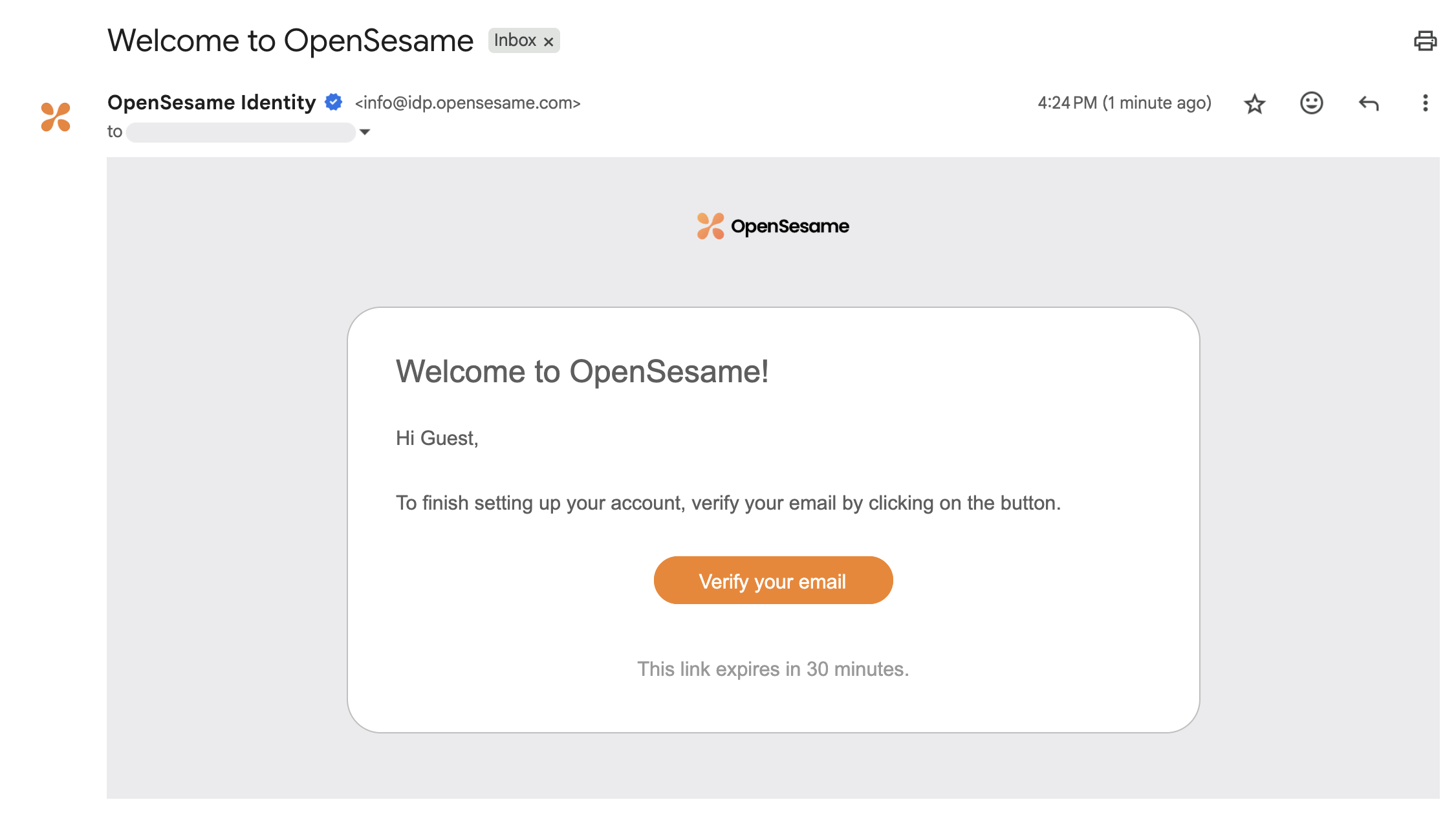 5 - The verification email.png