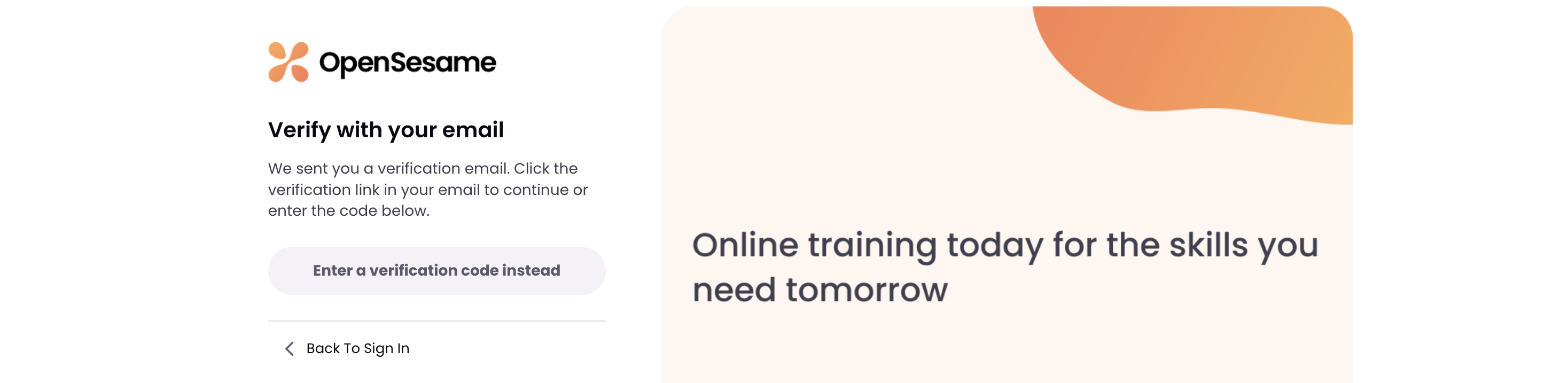 4 - Verification prompt.png