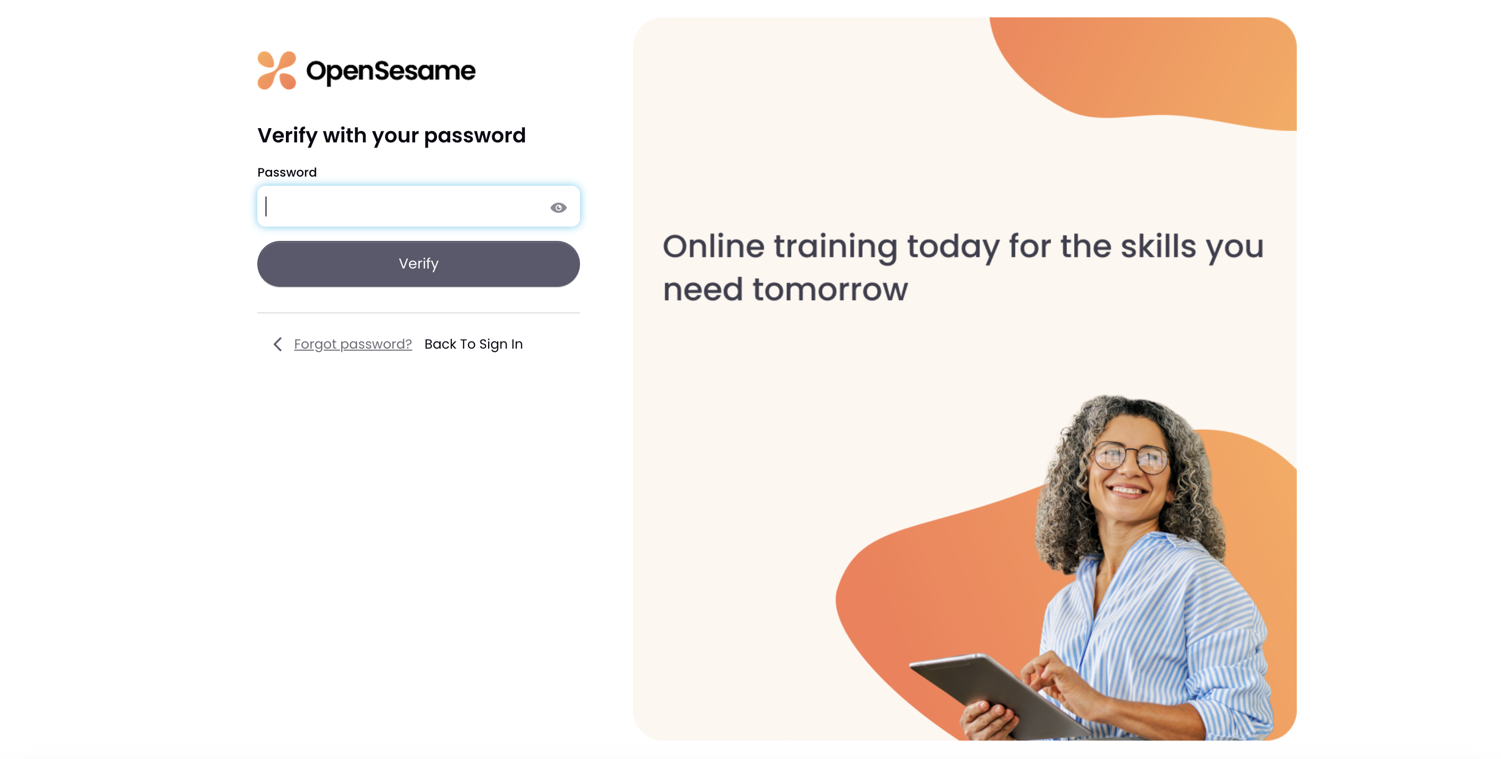 3 - Password page.png