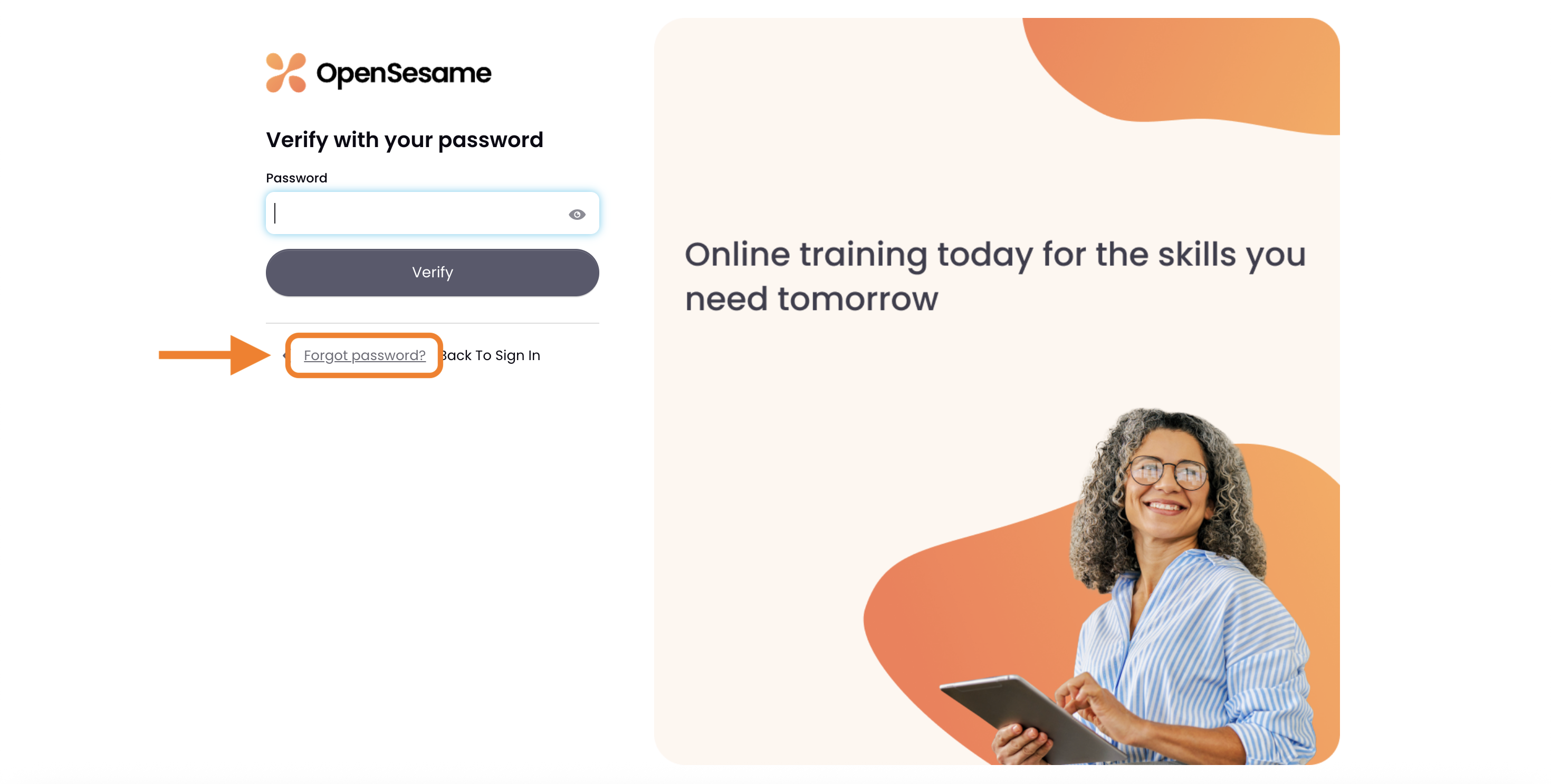 2 - The password page, indicating the Forgot Password link.png