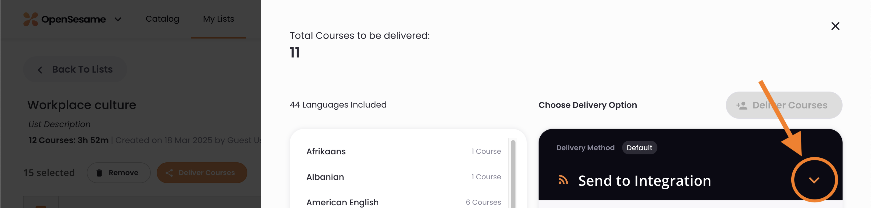 4 - The delivery options, indicating the options menu.png