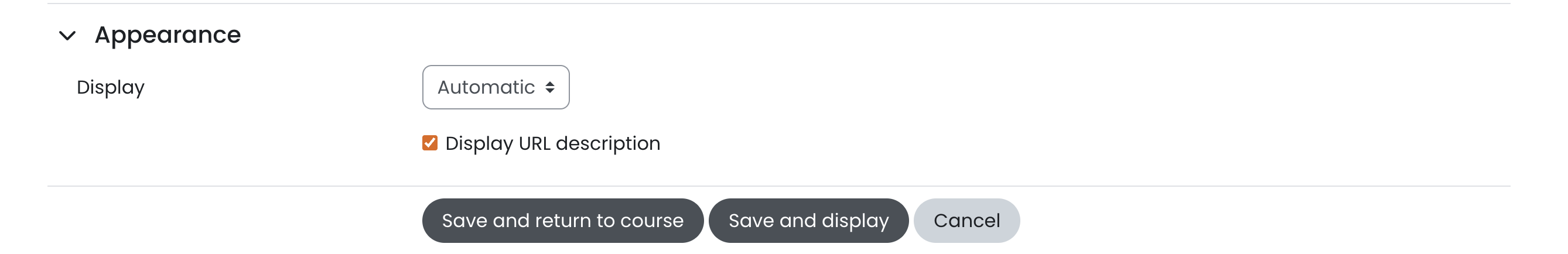 19 - The URL display options.png