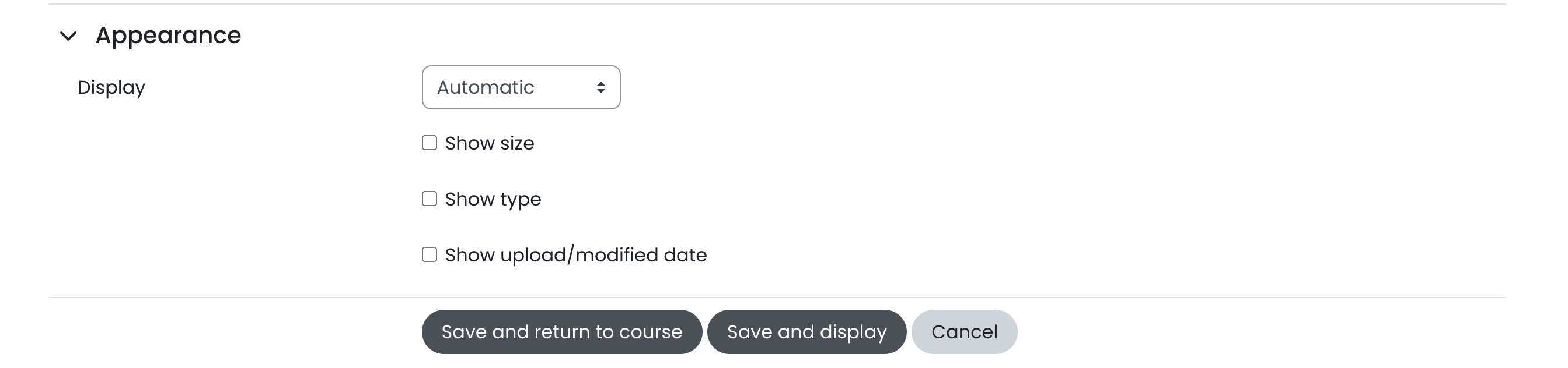 11 - The appearance options.png
