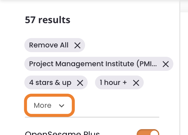 14 - The active filters and the More option.png