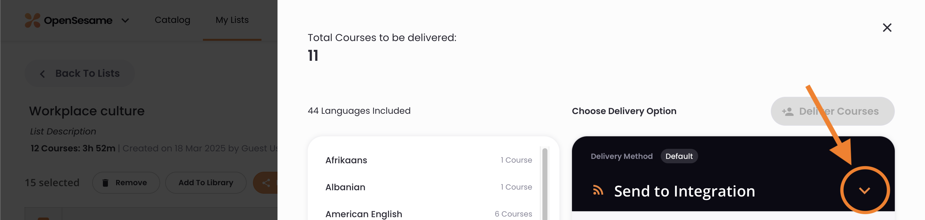 6 - The delivery options, indicating the options menu.png