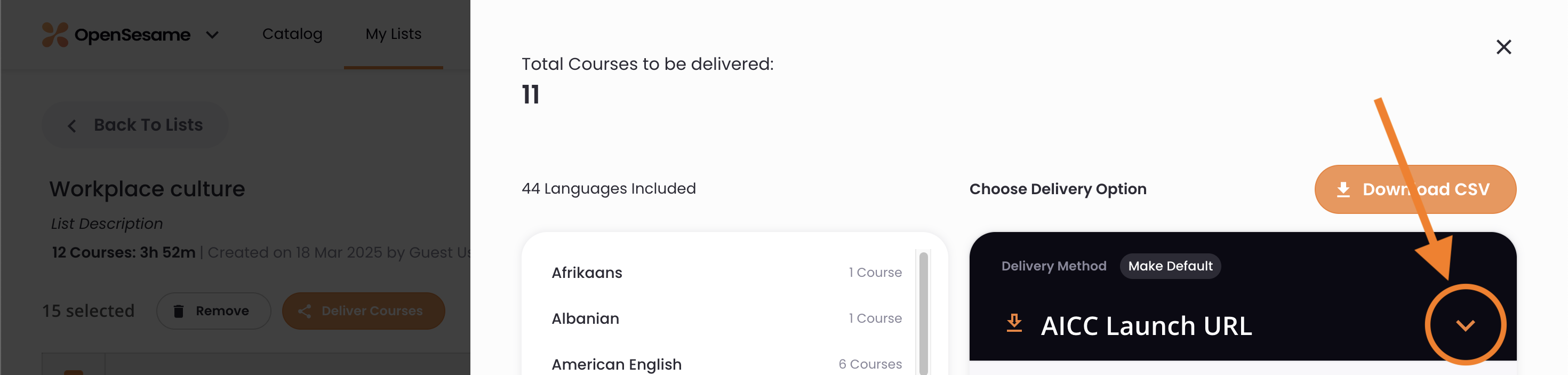 The AICC Launch URL delivery option, indicating the menu.png