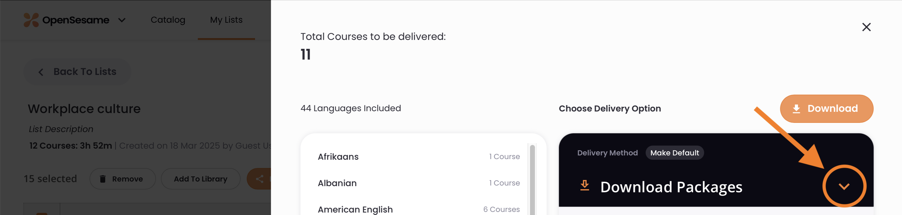 4 - The delivery options, indicating the options menu.png