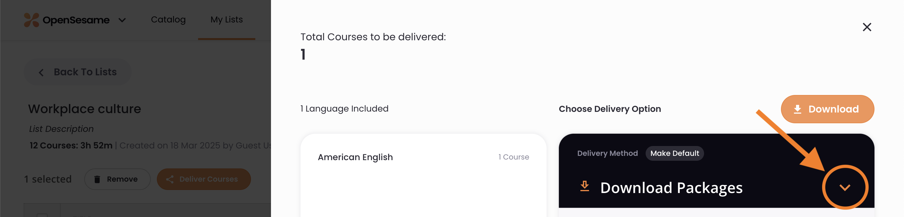4 - The delivery page, indicating its menu.png