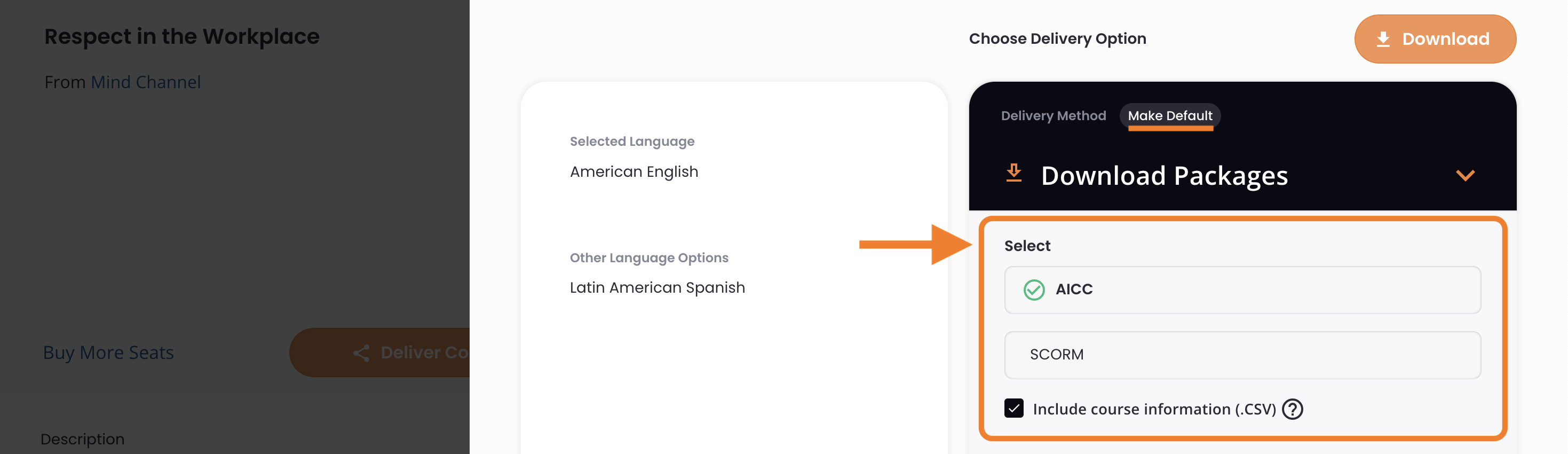 4 - The package type options and the metadata option.png