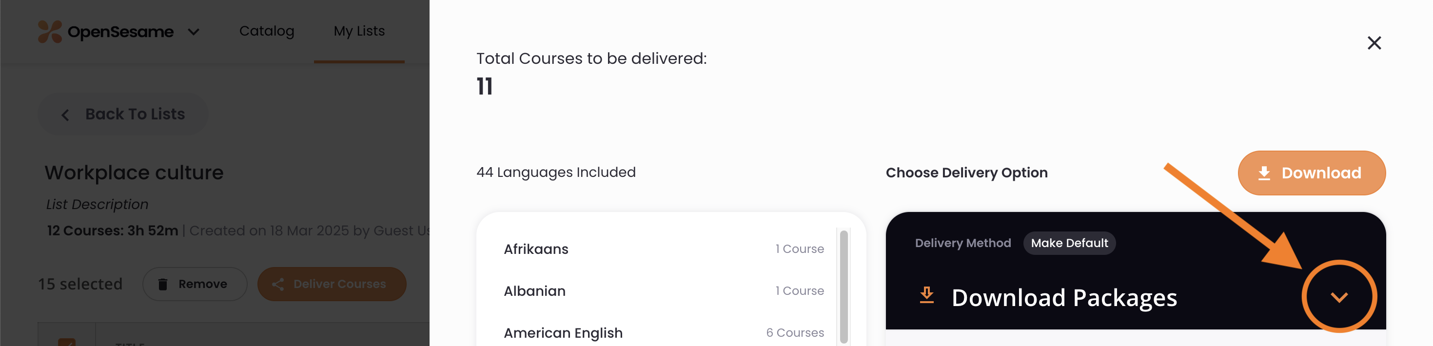 6 - The current delivery option appears and the options menu is indicated.png