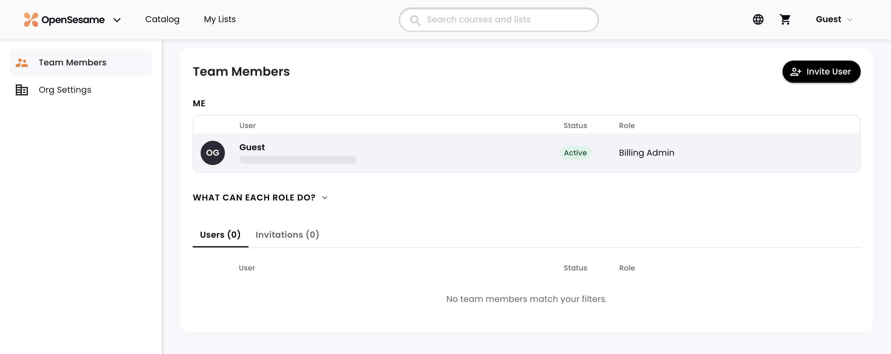 2 - The Team Members page, with only a Billing Admin.png