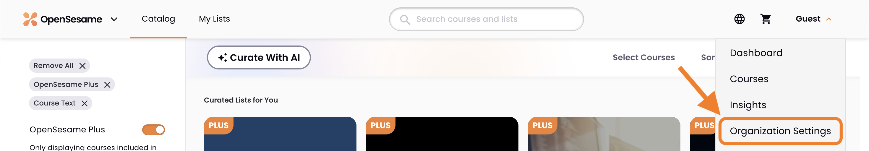 1 - The account menu, indicating Organization Settings.png